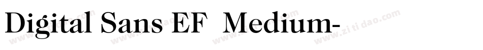 Digital Sans EF  Medium字体转换